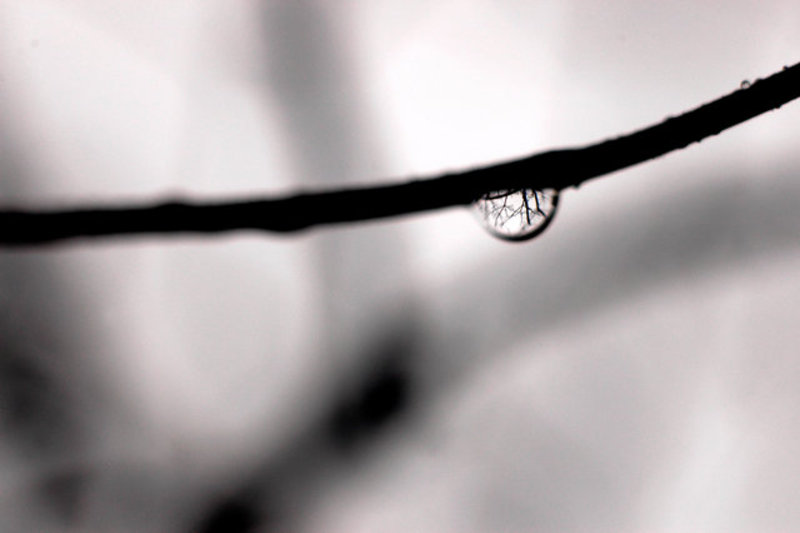 Last Drop to Fall