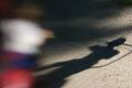 IMG_5245-copyDPC.jpg