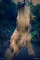 Lunge