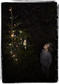 The Fairy Tree