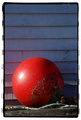 Buoy