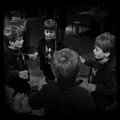 IMG_7981-copy.jpg