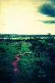 Path