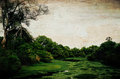 Mosquito Heaven