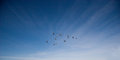 High Flight