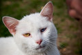 IMG_1144-2-copy.jpg