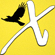 X Yellow