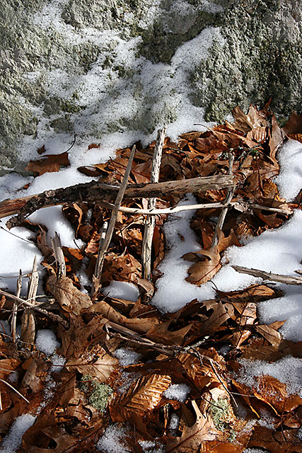 Sticks, lichen and rock
