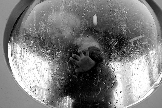 Bubble