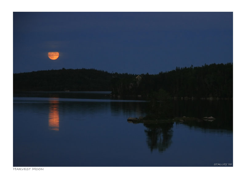 Harvest Moon