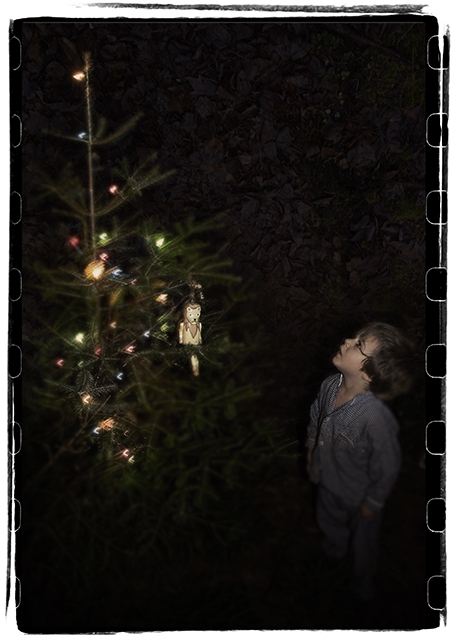 The Fairy Tree
