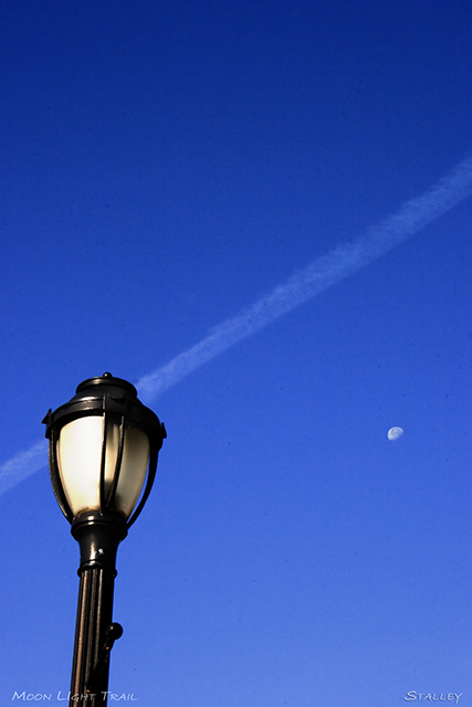 Moon Light Trail