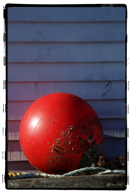 Buoy