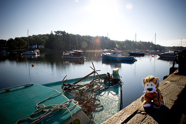 Perry in Chester Basin