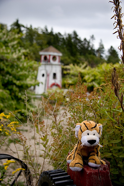 Perry on someone's yard decoration (including the mini lighthouse)