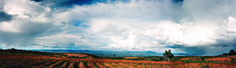Tanzanian Panorama