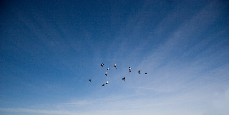 High Flight