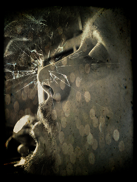 Nettle
