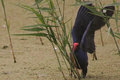 Bird2