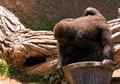 Looking for a Bite to Eat