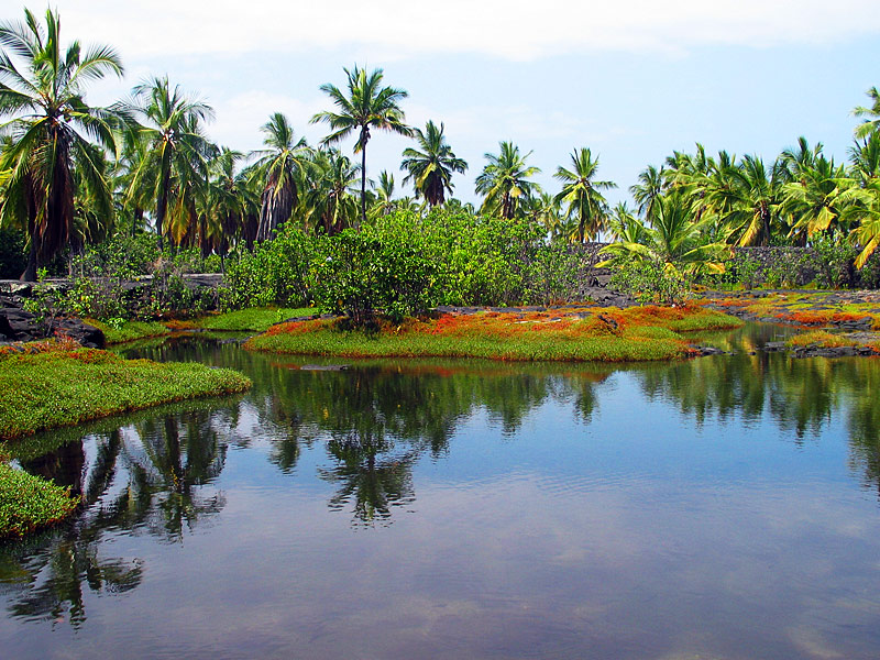 Colors of Nature