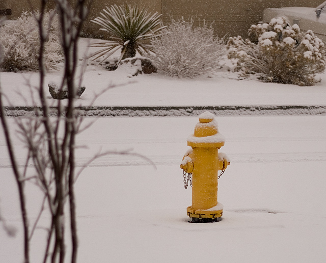 Hydrant in the Snow