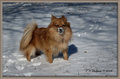 Geeze-that\'s-COLD!