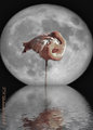 Flamingo-Moon