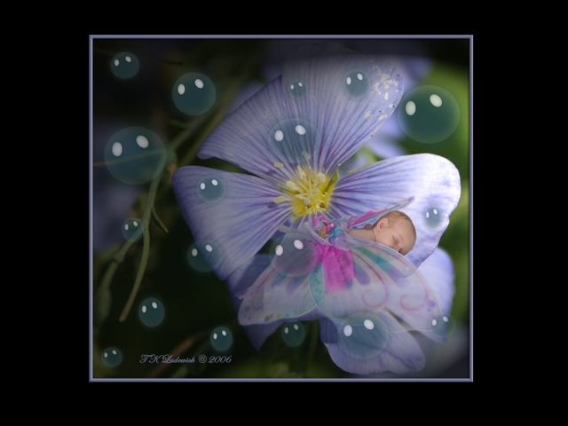 Littlest Fairy