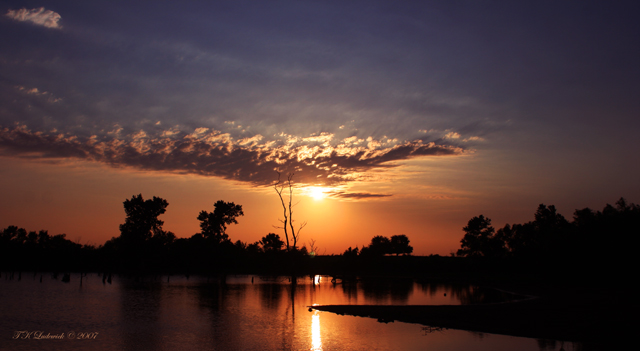 Purple-Passion-Sunset