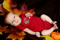 IMG_1250.jpg