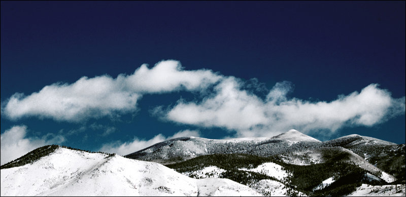 Cold View