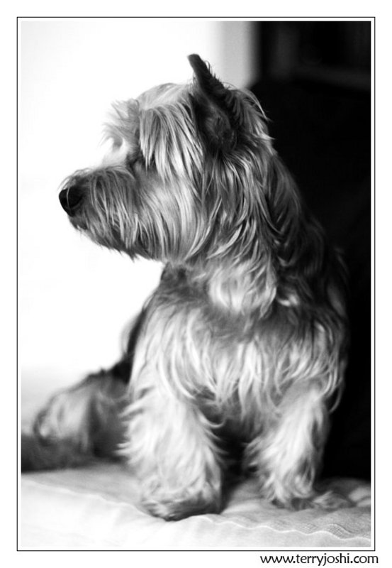 five - Jack in mono