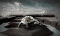 Shuttle Graveyard