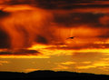 Day's Last Flight