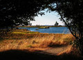 estuary.jpg