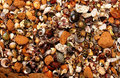 shells