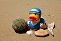 Ducky Collects Shells