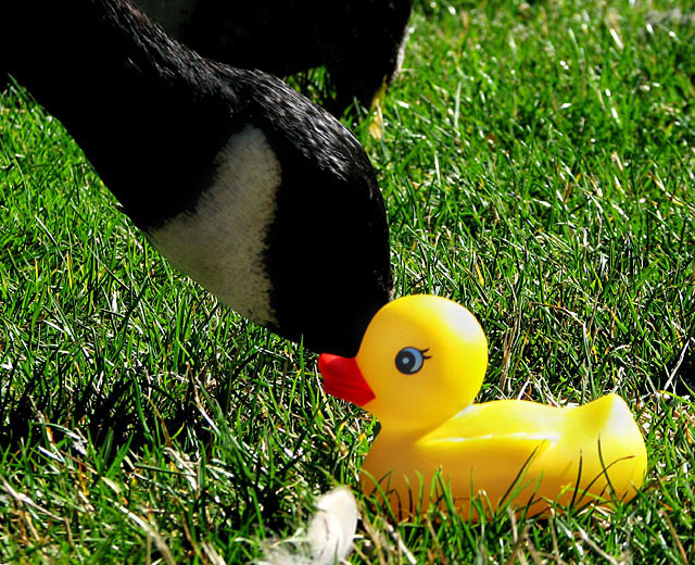 A Peck on the Cheek