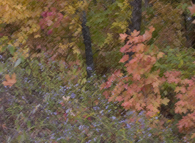 Tlemetry's Pastel Blur
