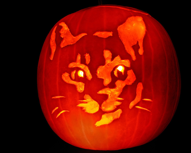 MEOW!