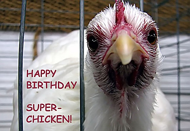 superchicken.jpg