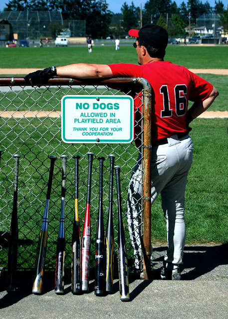 No Dogs