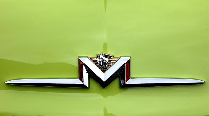 DSC_0129-merc.jpg