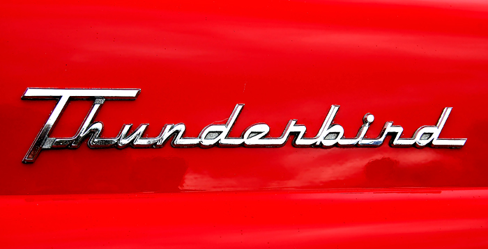 DSC_0167-thunderbird.jpg