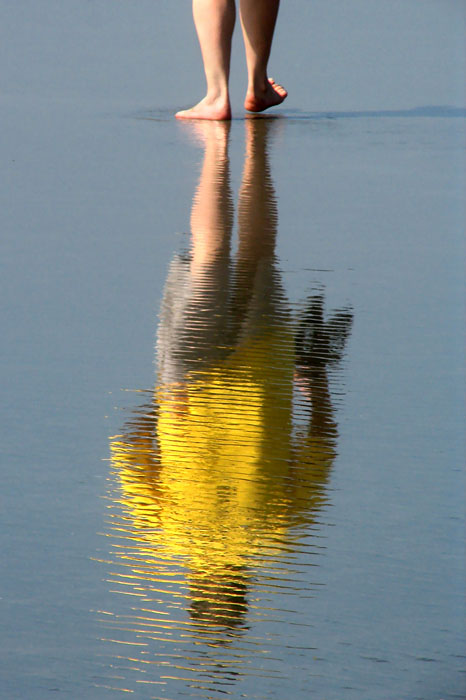 Reflections 4x6