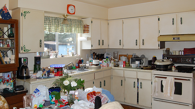 DSC_0555-kitchen.jpg
