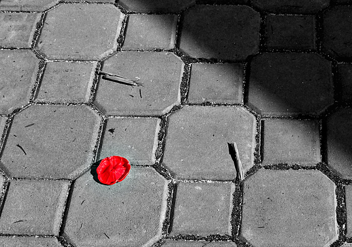 Lest We Forget