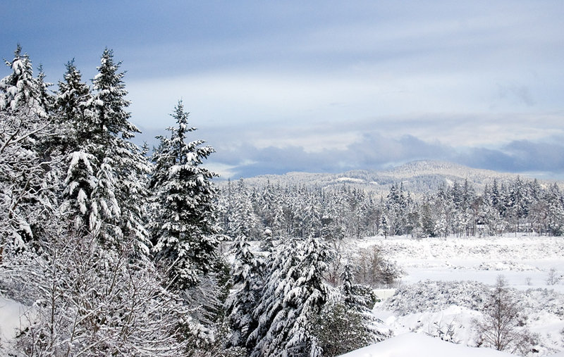 The View from my Deck