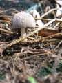 117_1768.JPG